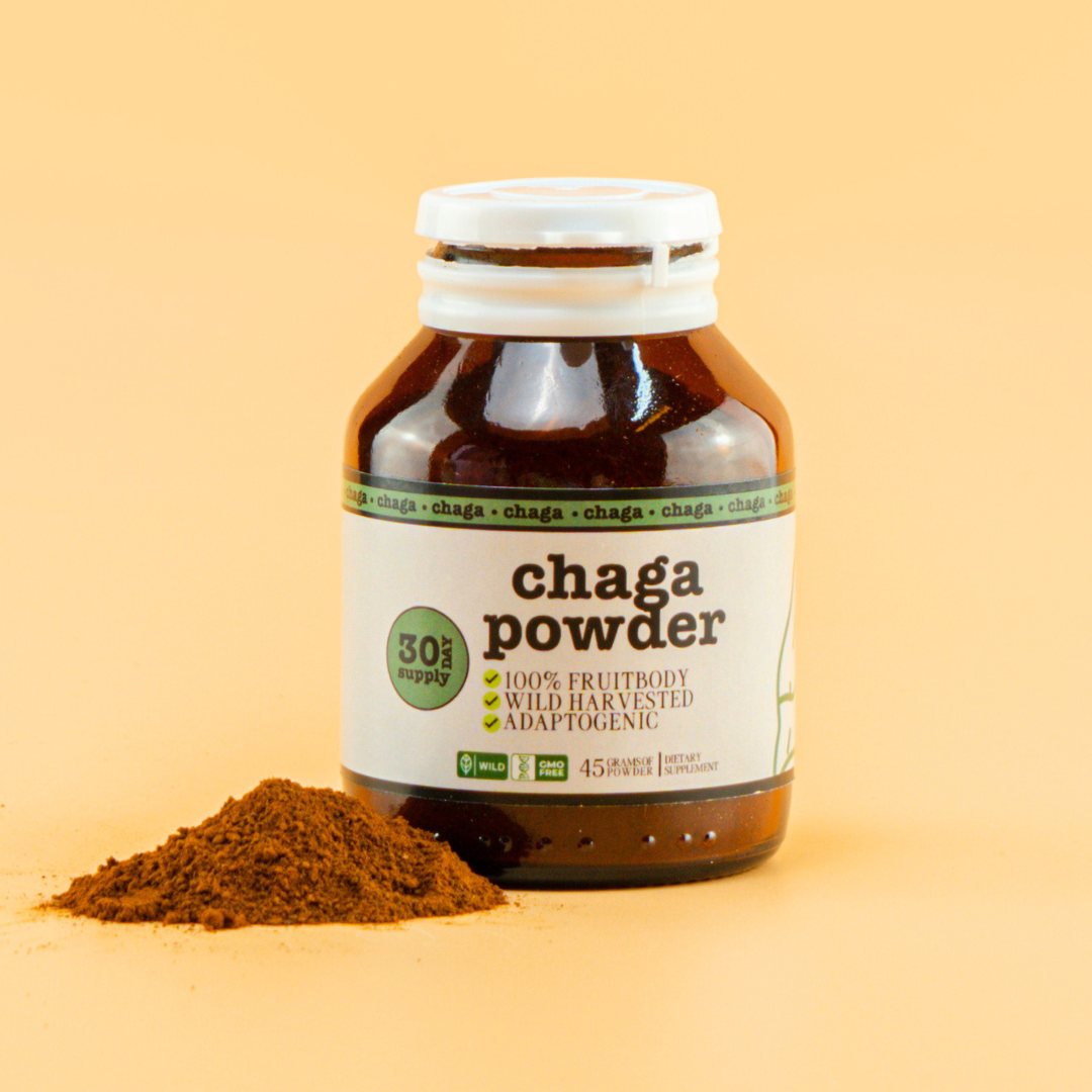 Chaga Sclerotia Powder
