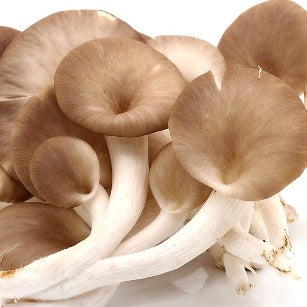 Fresh Bhutan Oyster Mushrooms